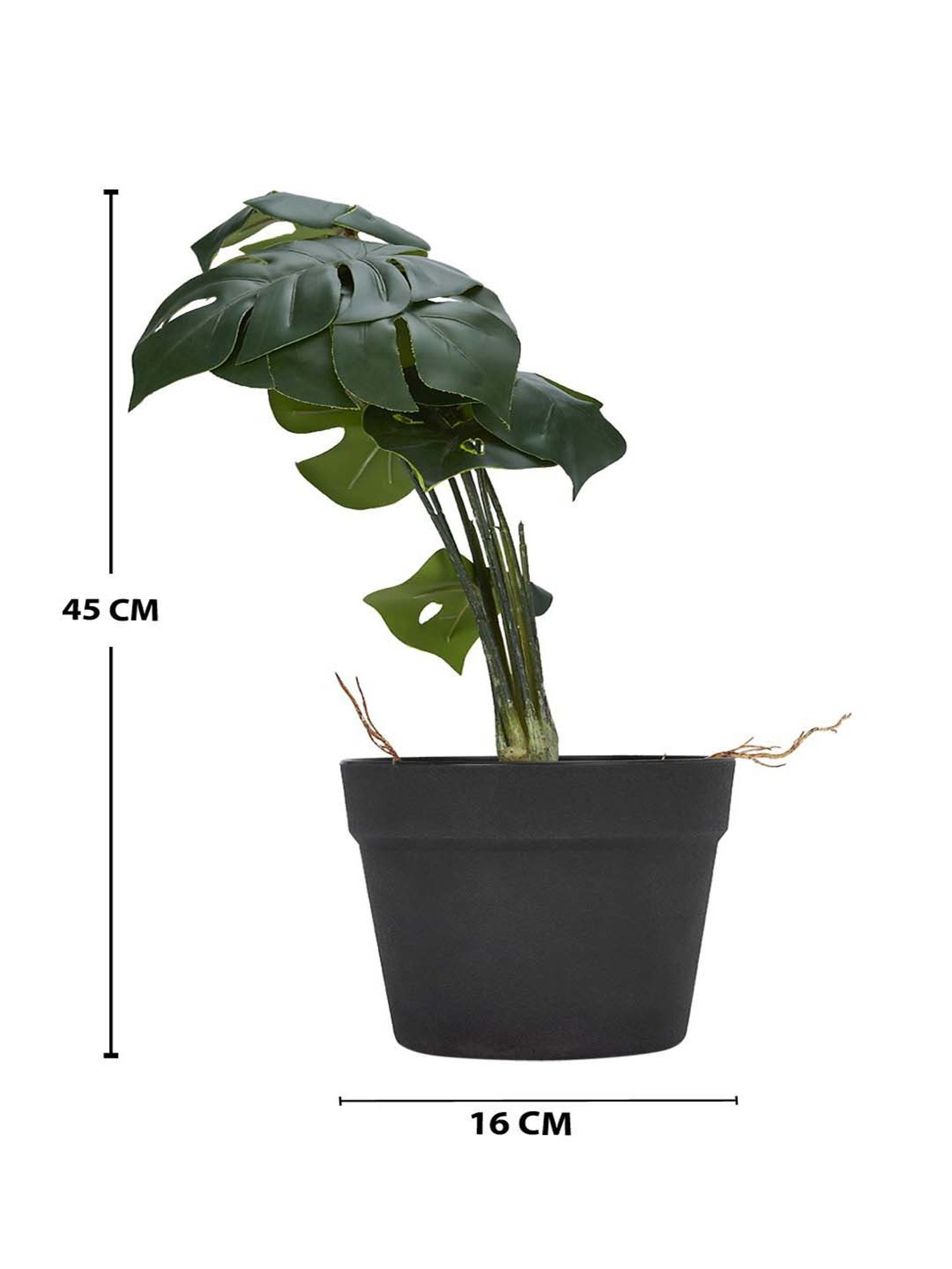 Living Scapes by Pantaloons Green Plastic Artificial Plant Vases