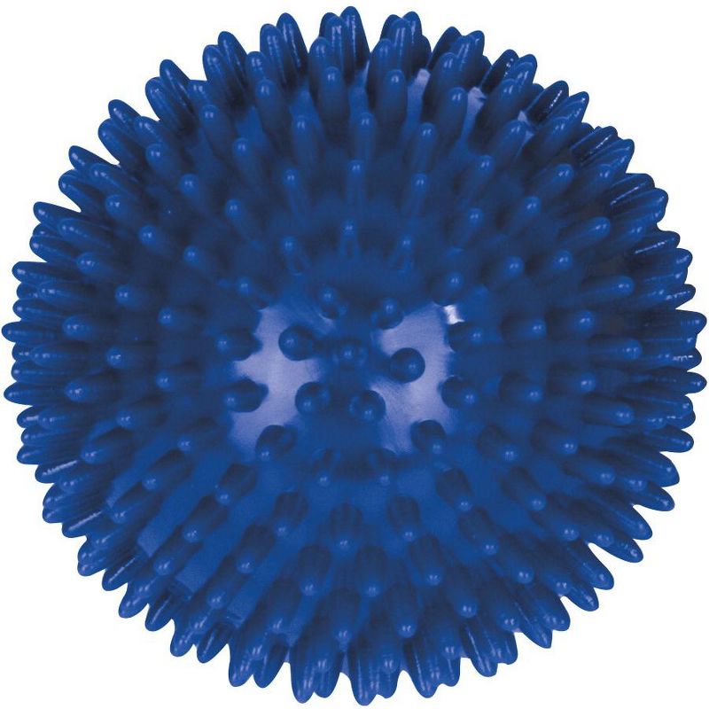 Aeromat Massage Ball, 10 Centimeters, Blue