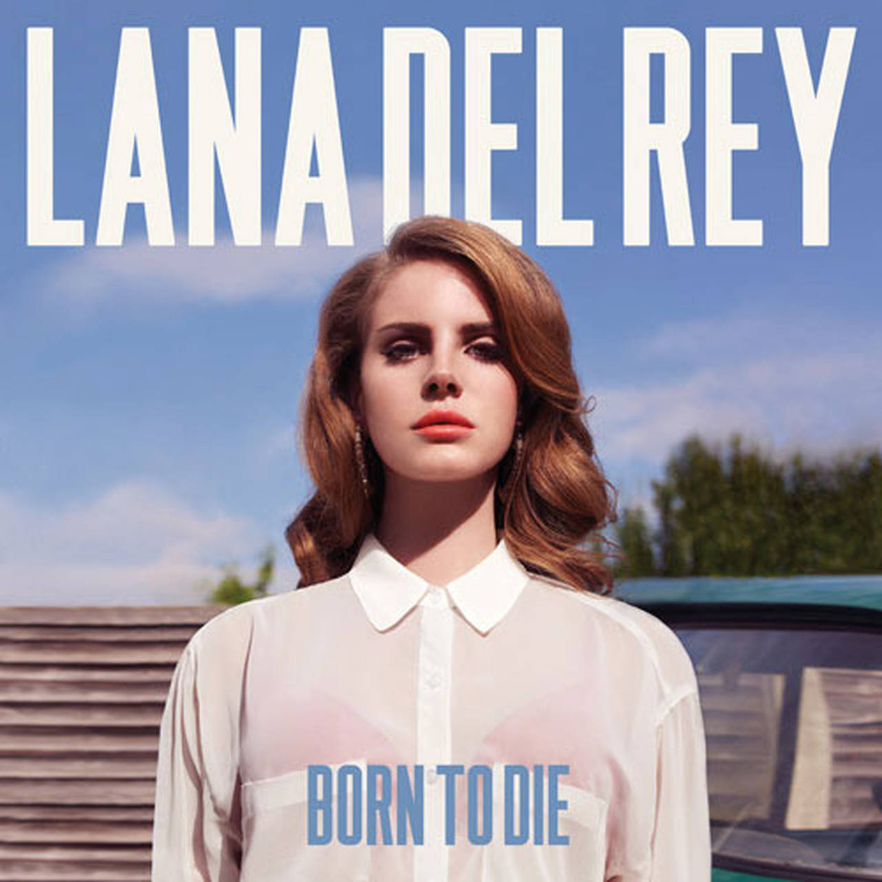 Lana Del Rey Born To Die 180g Import 2LP (Vinyl)