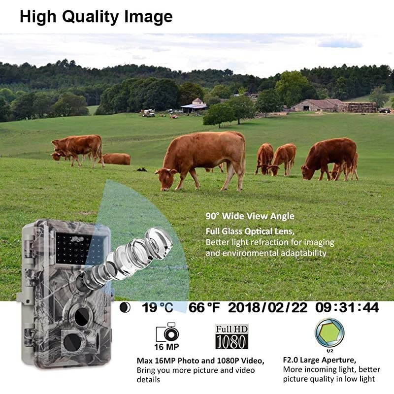Trail Camera 16MP 1080P Game Camera with No Glow Night Vision Up to 65ft 02s Trigger Time Motion Activated Unique Keypad 24quot Color Screen Waterproof Wildlife Deer Hunting Cam