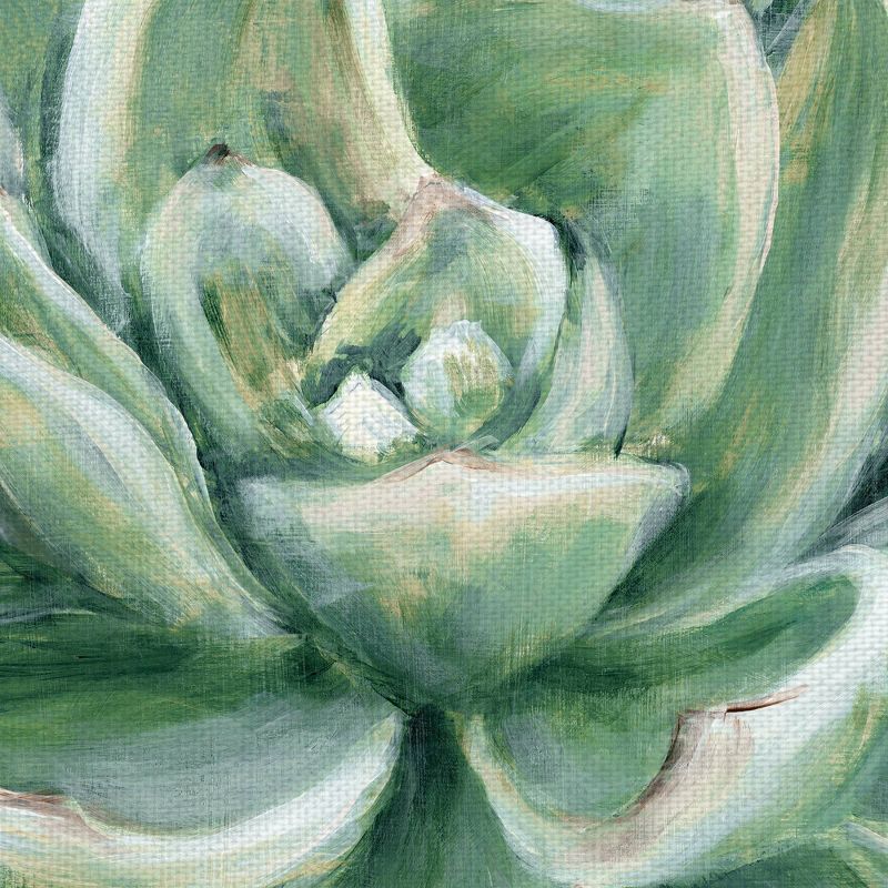 22" x 28" Succulent by Marilyn Dunlap Art on Canvas - Fine Art Canvas