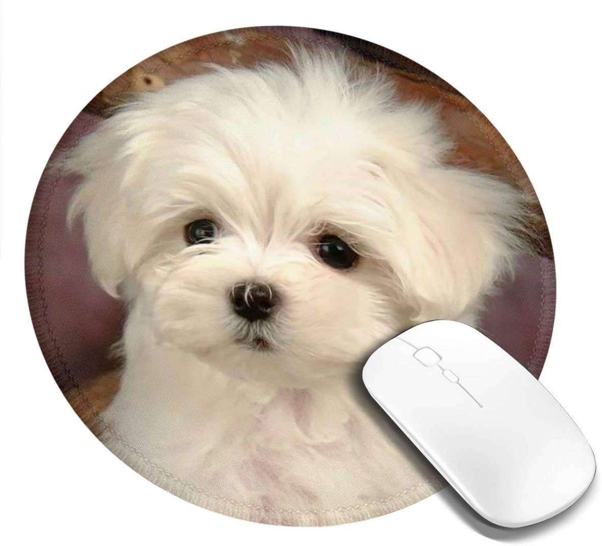 Durgod Taurus K320 TKL Mechanical Gaming Keyboard - 87 Keys - Double Shot PBT - NKRO - USB Type C (Cherry Blue, White)