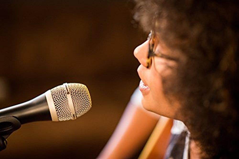 Beyerdynamic TG-V50D Dynamic Cardioid Microphone for Vocals