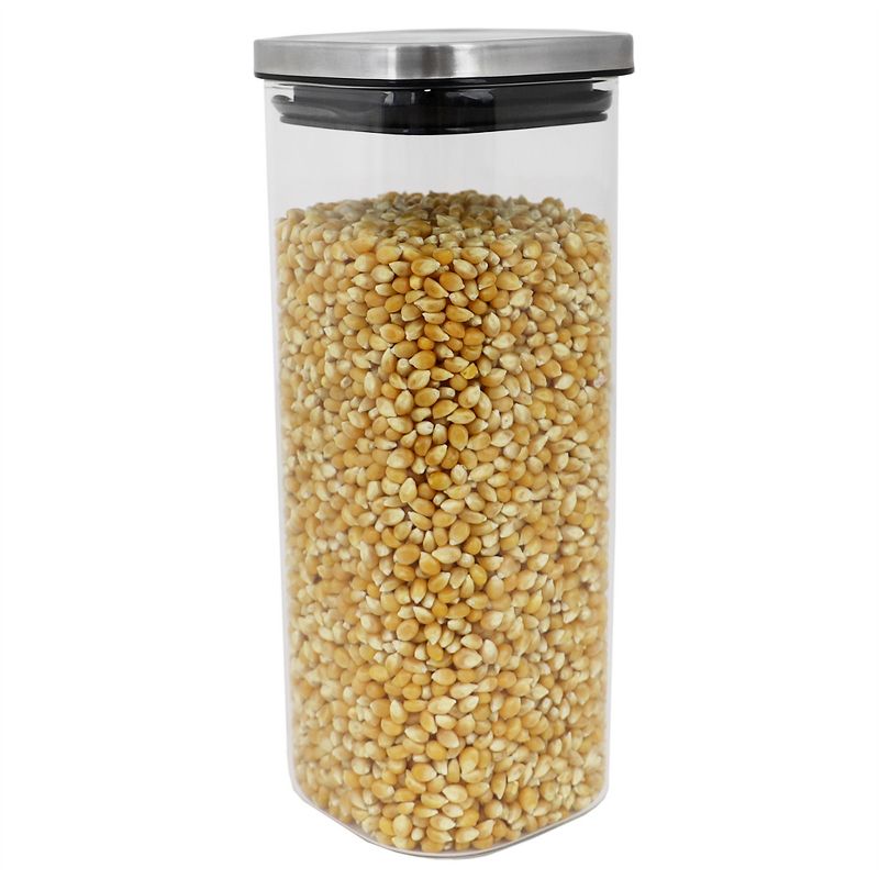 Michael Graves Design X-Large 64 Ounce Square Borosilicate Glass Canister with Stainless Steel Top