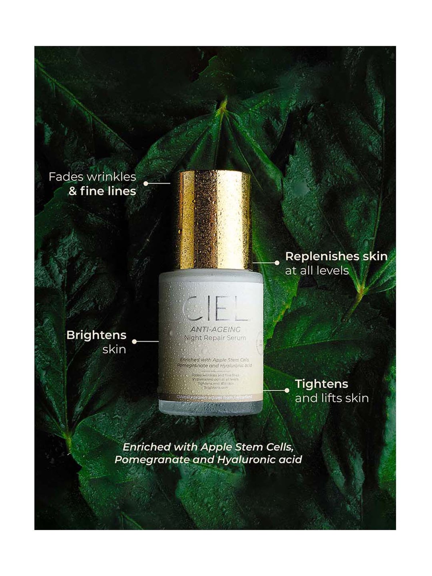 CIEL Anti-Ageing Night Repair Serum - 30 ml