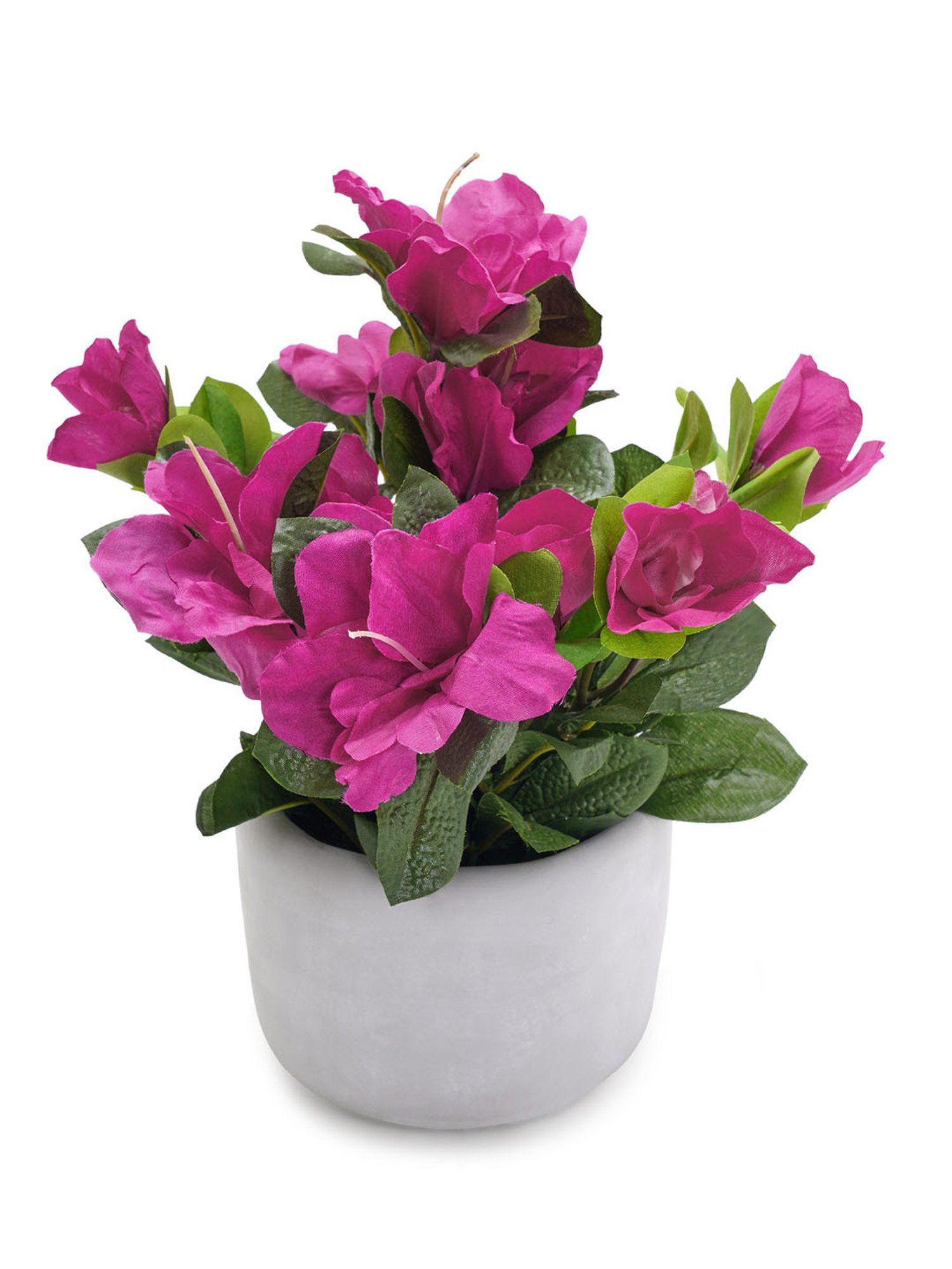 Pure Home and Living Pink Plastic Potted Plants