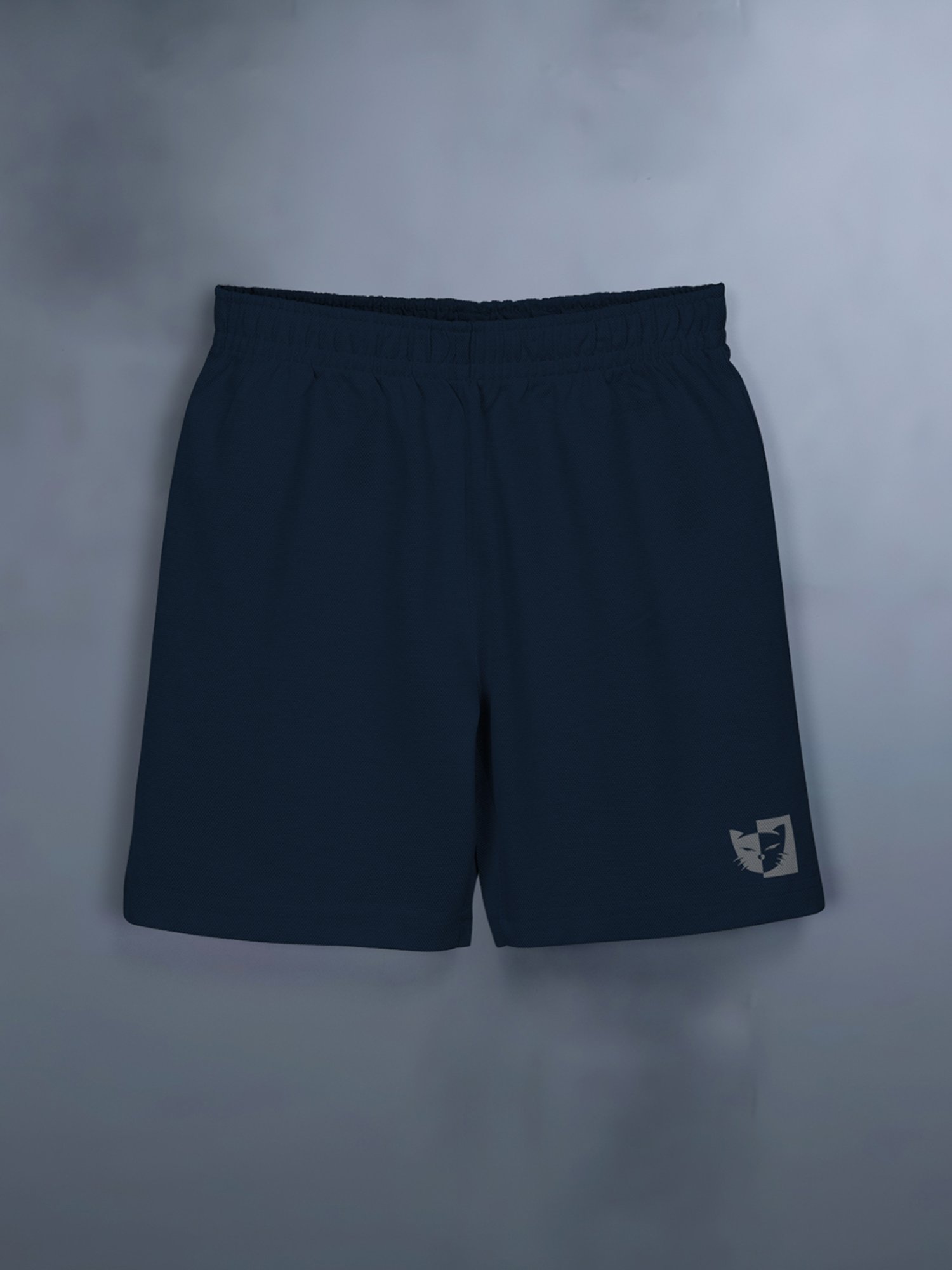 HELLCAT Kids Blue Printed T-Shirt with Shorts