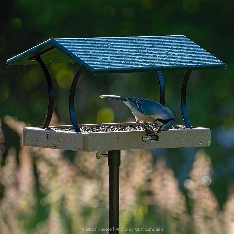 Bluebird 54" House Pole Set