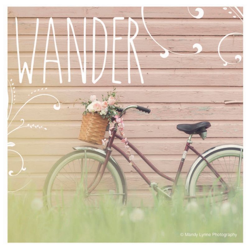 Thirstystone Dreaming Of Spring Coaster Set of 4