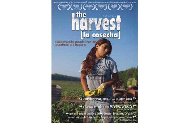 The Harvest (La Cosecha) (DVD)(2011)