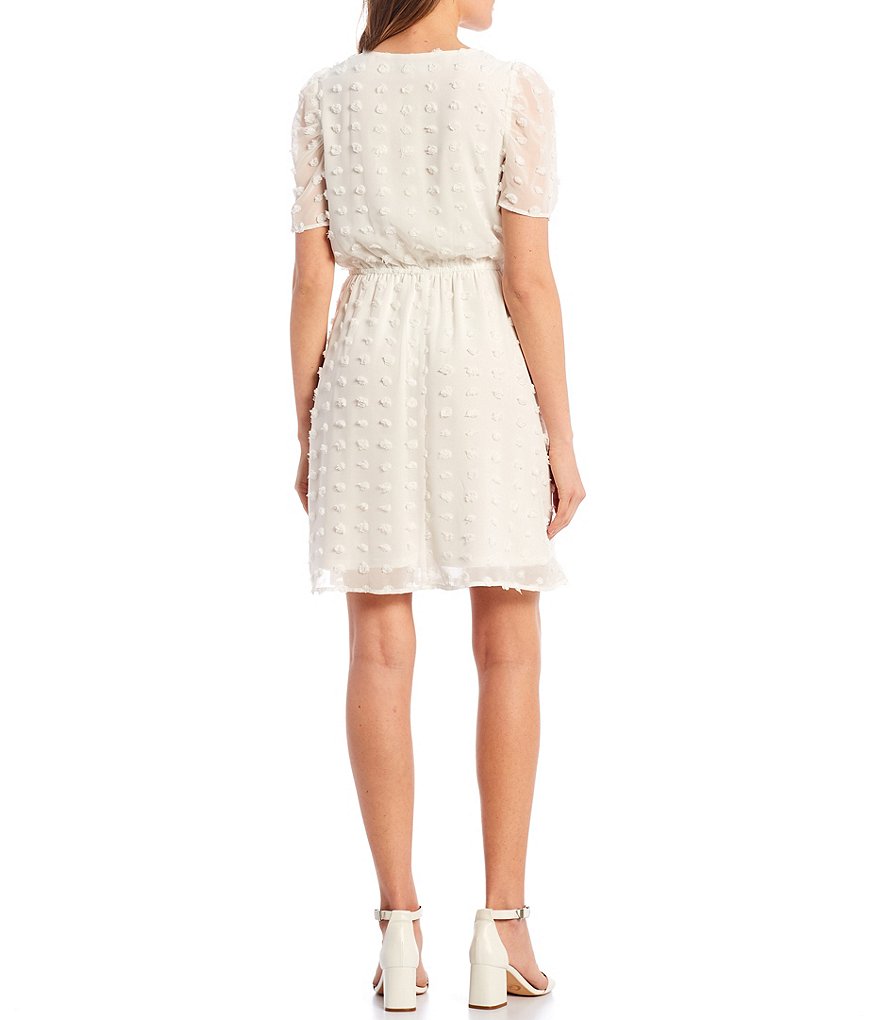 Allison & Kelly Short-Sleeve Large Clip-Dot Fit-and-Flare Dress