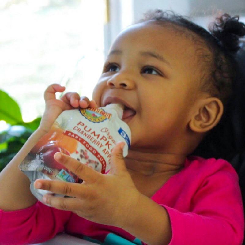 Earth's Best Organic Pumpkin Cranberry Apple Baby Food Pouch - 4.2oz
