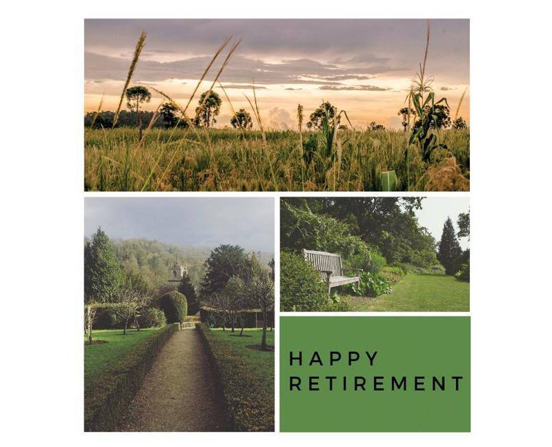 Happy Retirement Guest Book (Hardcover) - by  Lulu and Bell