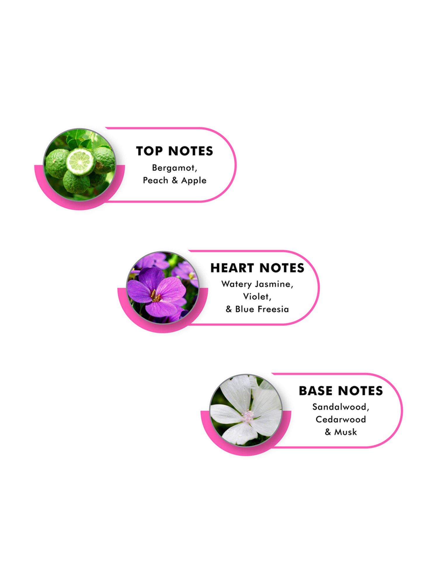 Hollister Canyon Rush Eau de Parfum for Her - 100 ml