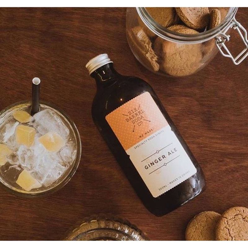 Six Barrel Soda Co. Ginger Ale Soda Syrup - 16.9fl oz