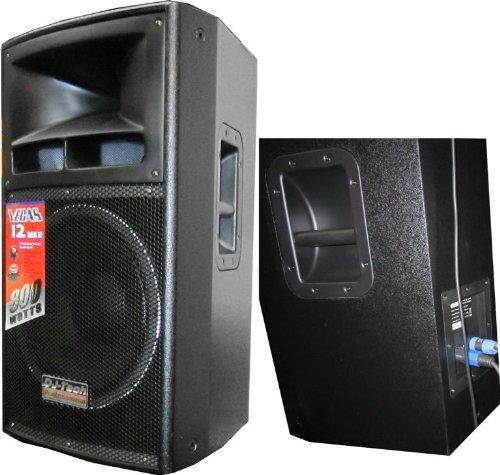 DJTECH 12" DJ SPEAKER EPOXY PAINTING