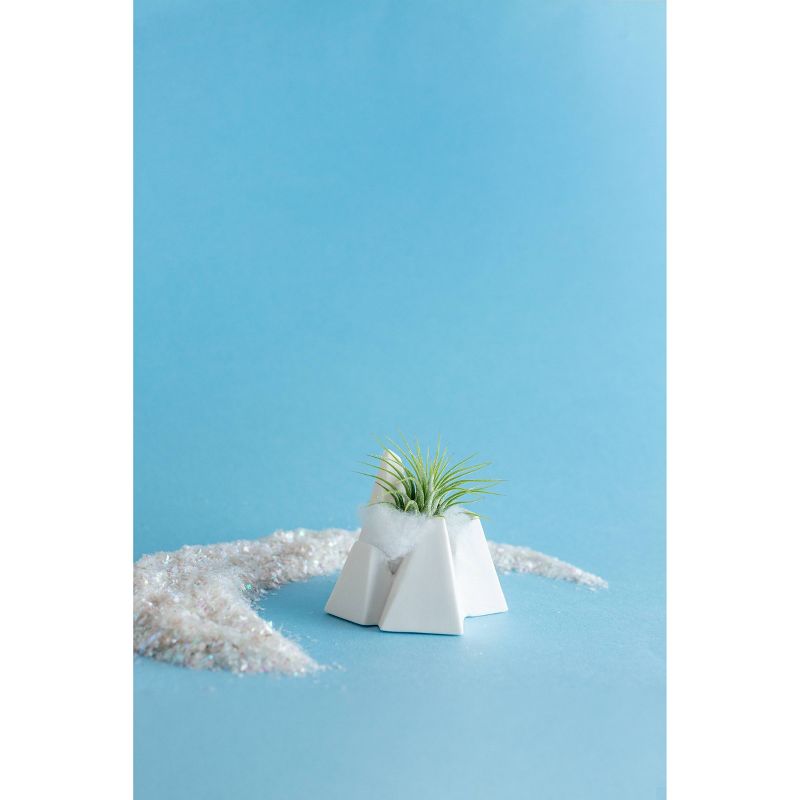 LiveTrends Ice Mountain