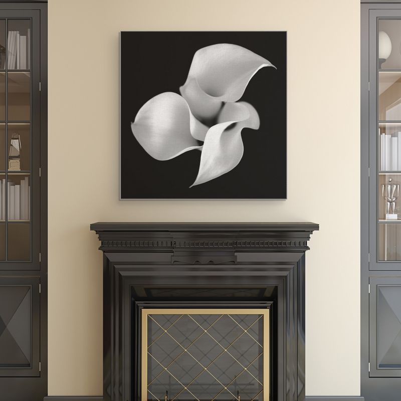 30"x30" Untitled Floral 26 By Michael Faragher Art On Canvas Black - Fine Art Canvas