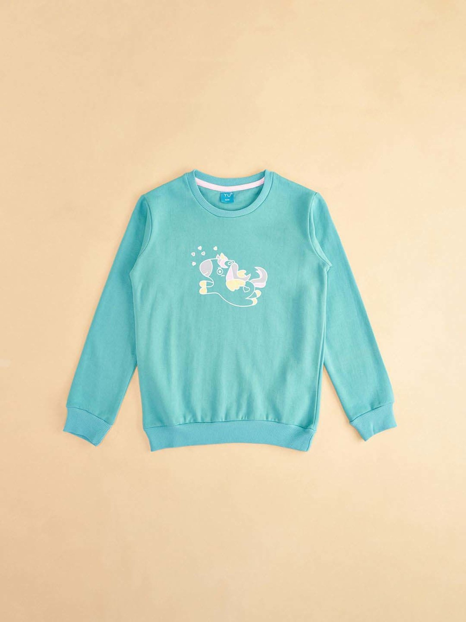 KIDS ONLY Blue Cotton Embroidered Full Sleeves Sweatshirt