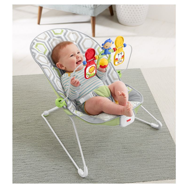 ​Fisher-Price Baby Bouncer