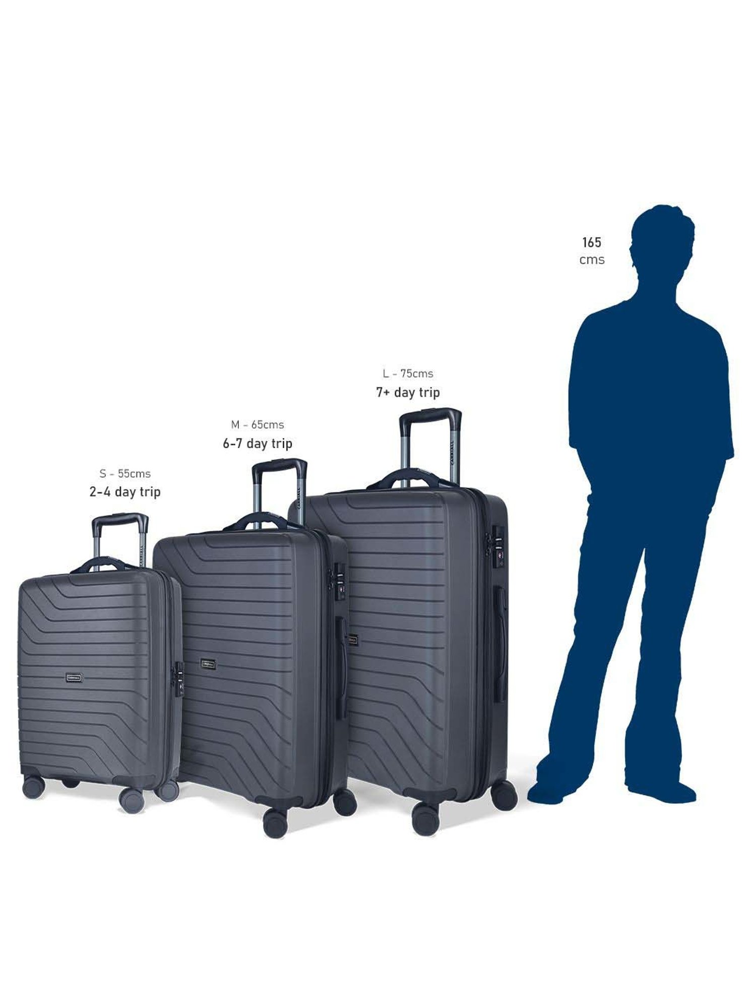 Carriall Groove Grey Striped Hard Trolley Bag Pack of 2 - 55cms & 75cms