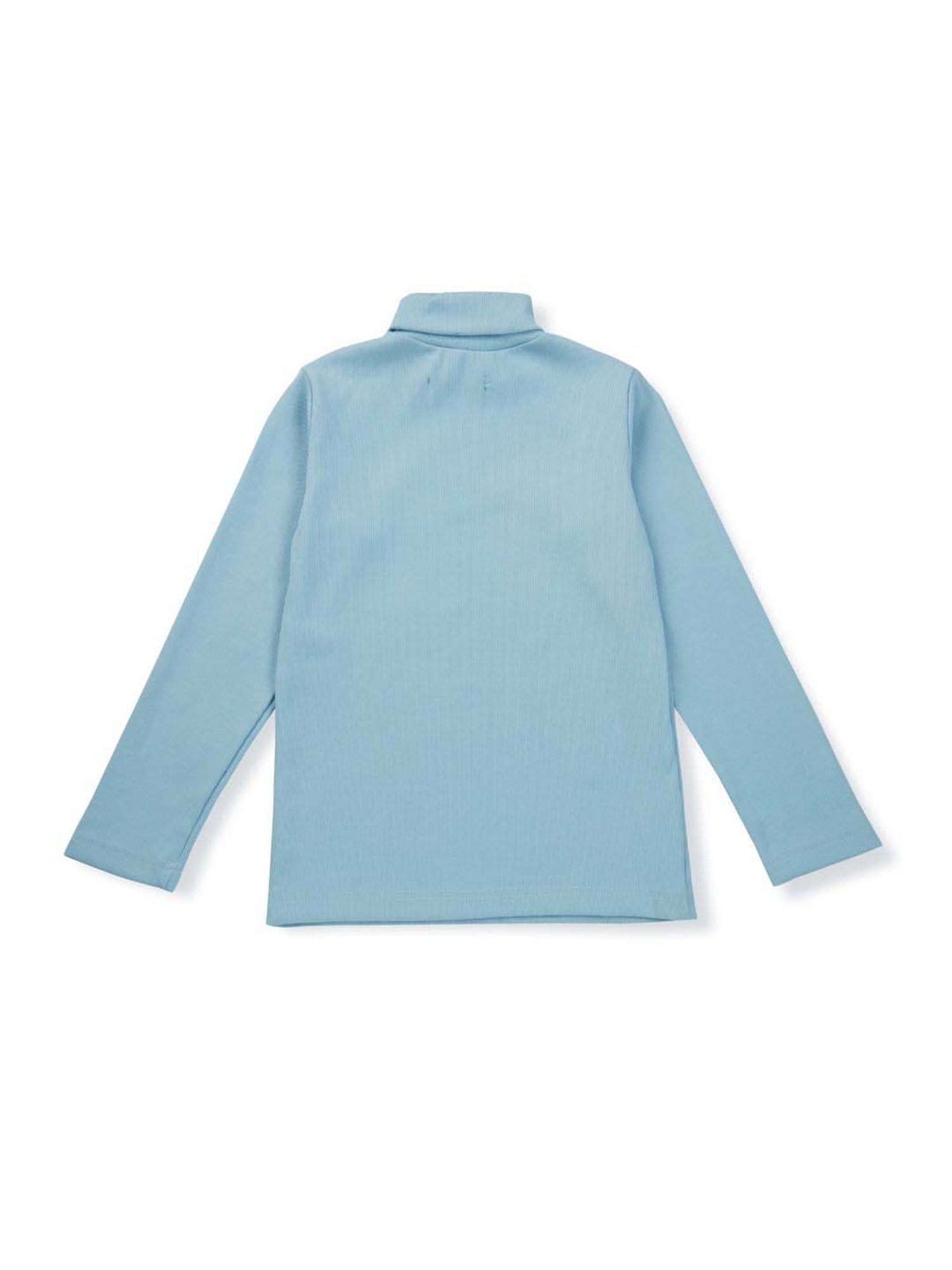 Palm Tree Kids Blue Cotton Regular Fit Full Sleeves Skivvy
