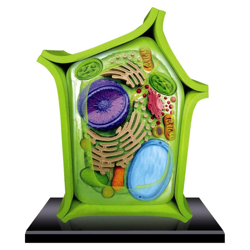 Thames & Kosmos Remote Control Machines