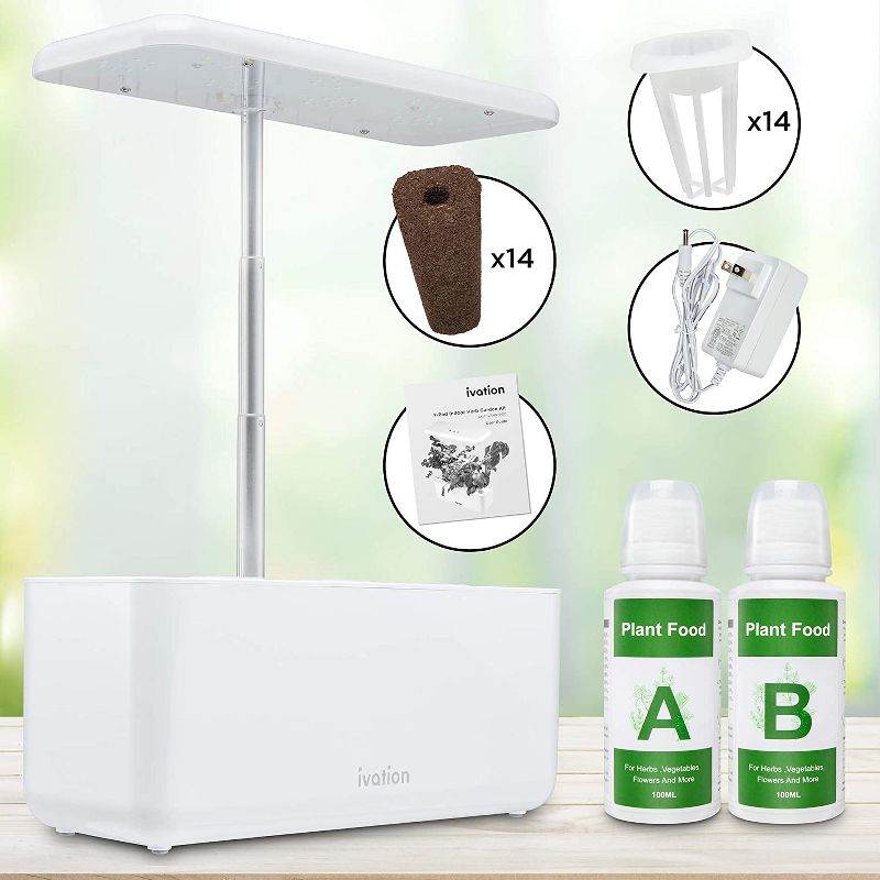 Van Zyverden Roses Mikado Root Stock