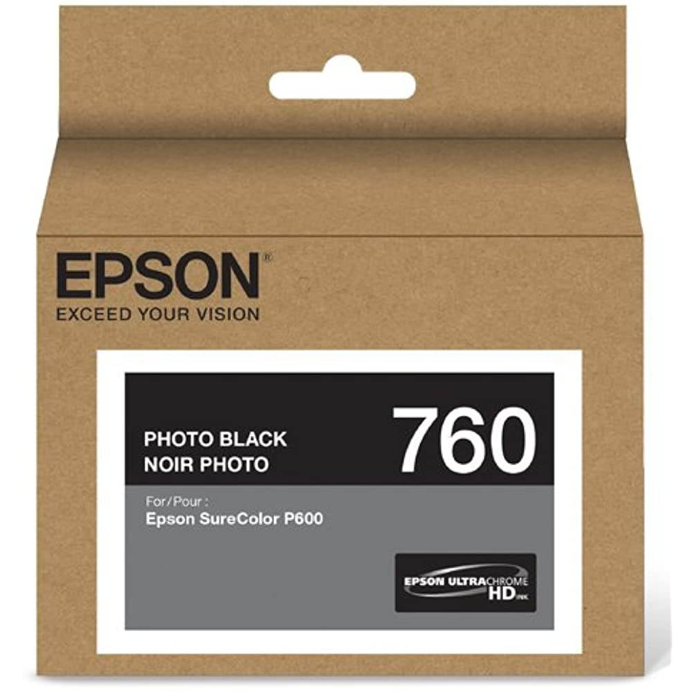 Epson UltraChrome HD T760 Original Ink Cartridge T760120