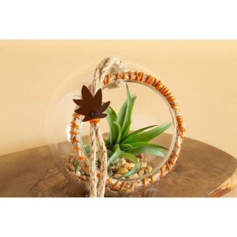 LiveTrends Glass Rope DIY Kit