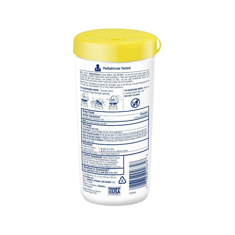 Wet Ones Antibacterial Hand Wipes Canister - Tropical Splash - 40ct