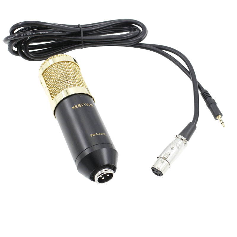 BM-800 Dynamic Condenser Sound Recording Microphone with Shock Mount for Radio Braodcasting KTV Karaoke with Shock Mount