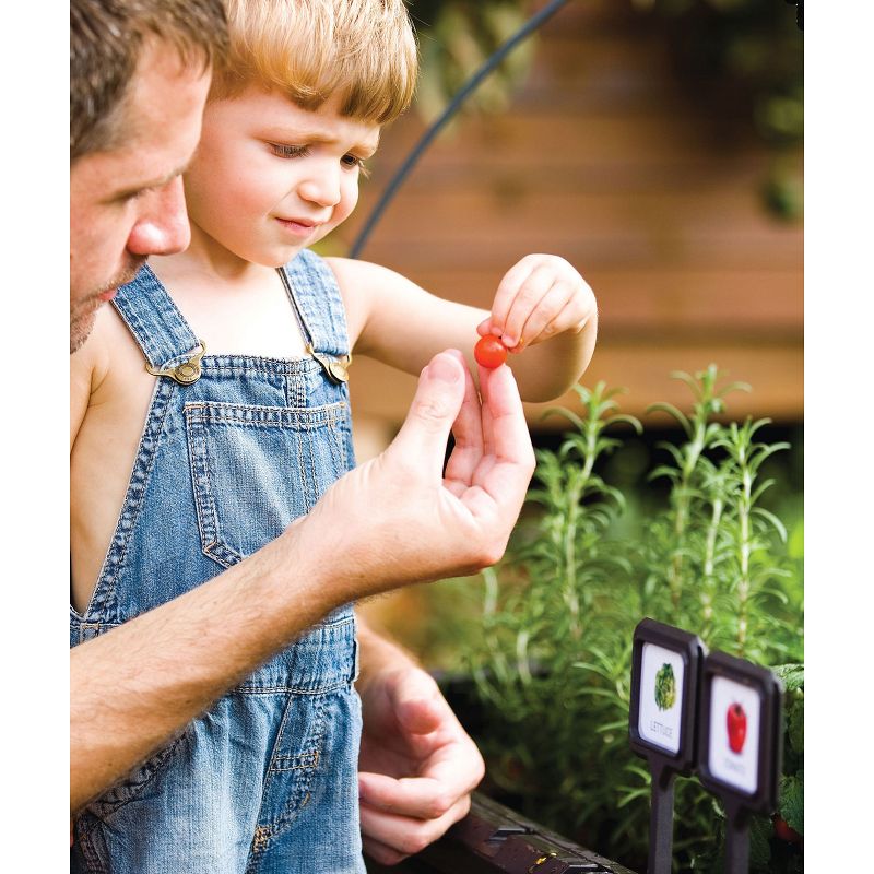 Keter 39 Inch Weather Resistant Outdoor Raised Garden Bed Growing Container Kit with Plant Markers & Wire Dome for Backyard, Patio, & Balcony, Brown