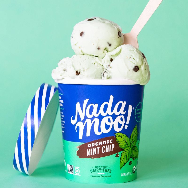 NadaMoo! Organic Mint Chip Dairy-Free Frozen Dessert - 16oz