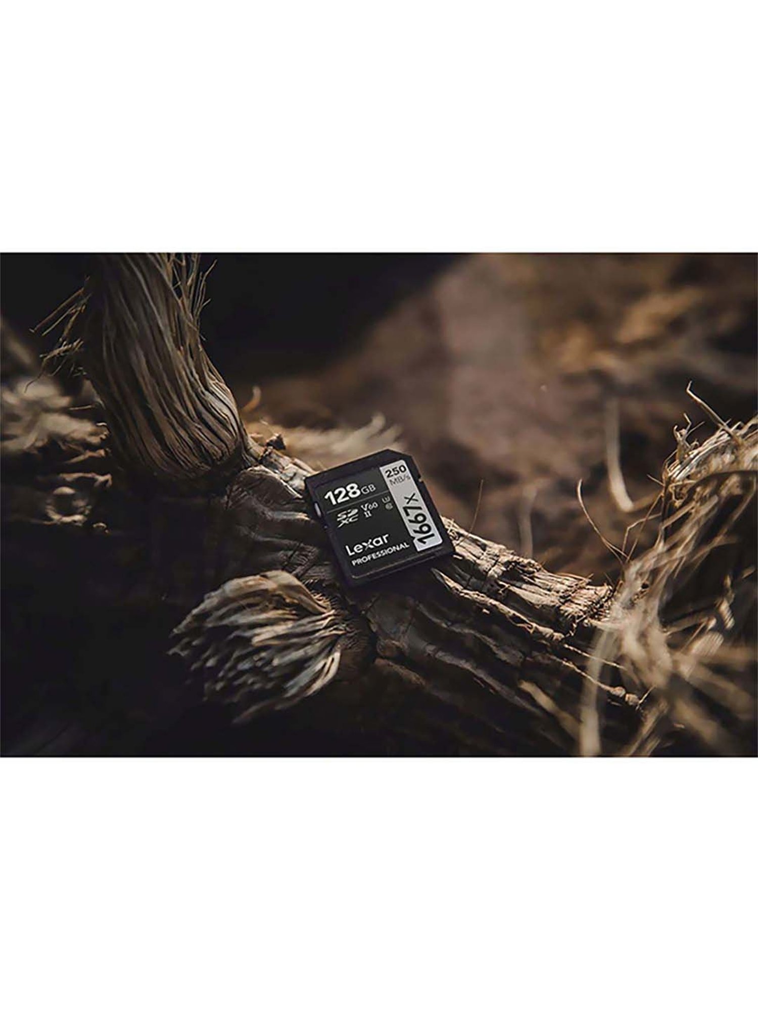 Lexar Professional 1667X LSD128CBNA1667 128GB SDXC UHS-II/U3 Memory Card