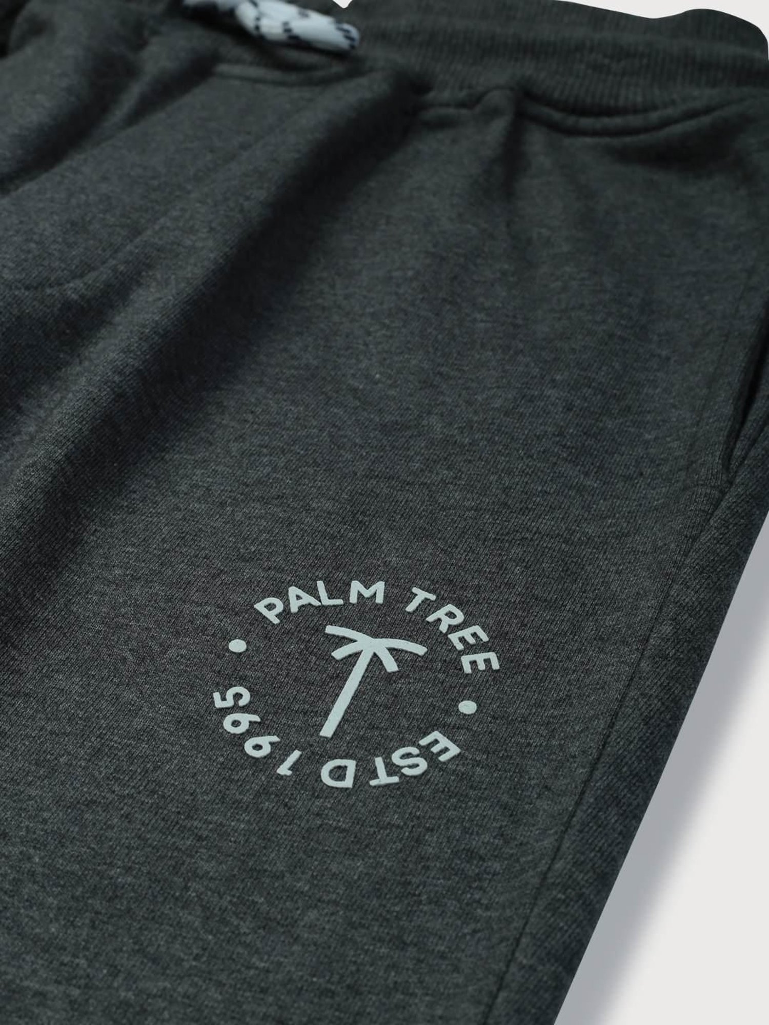 Palm Tree Kids Grey Regular Fit Trackpants