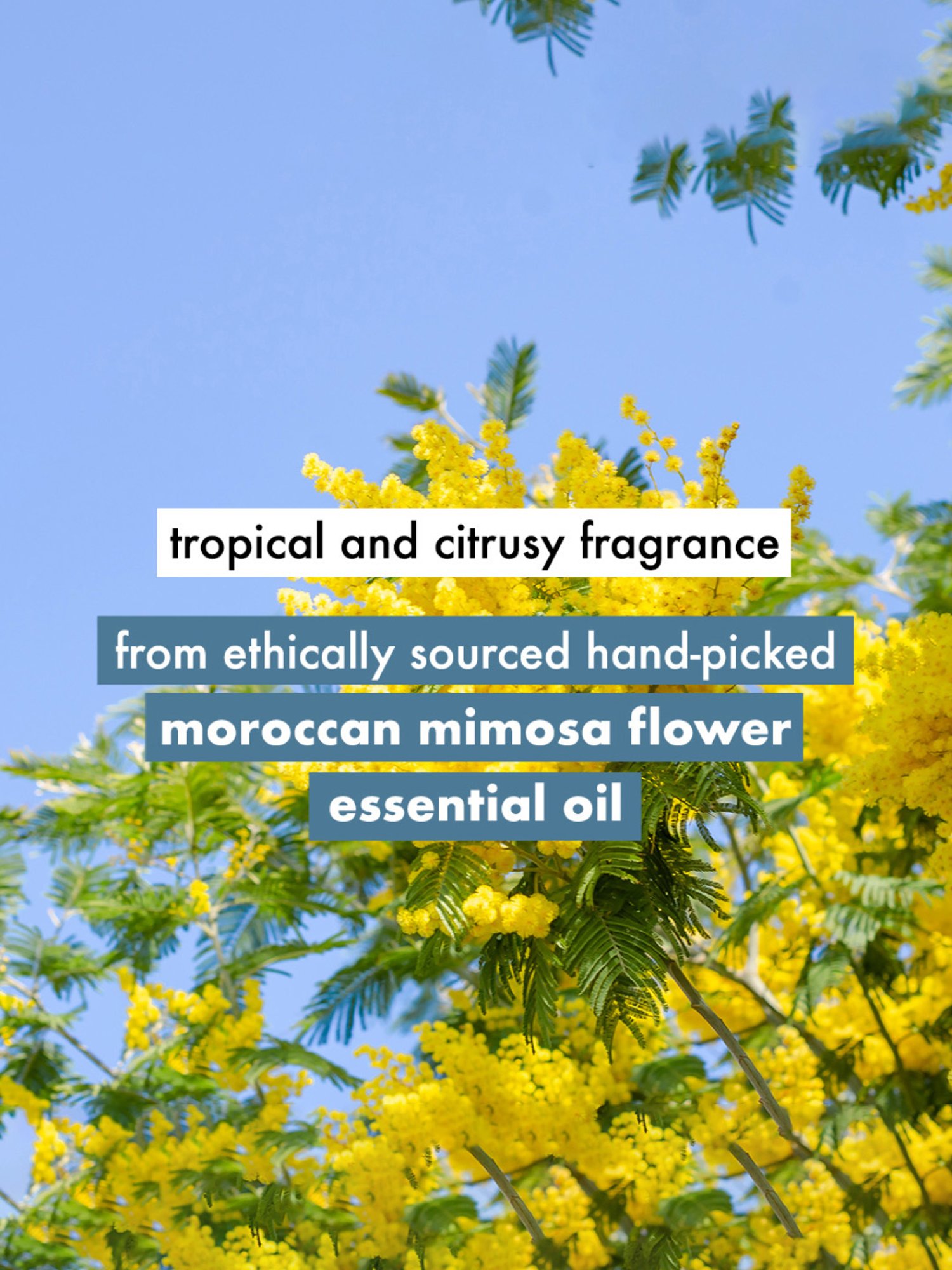 Love Beauty & Planet Coconut Water & Mimosa Flower Volume and Bounty Shampoo - 400 ml