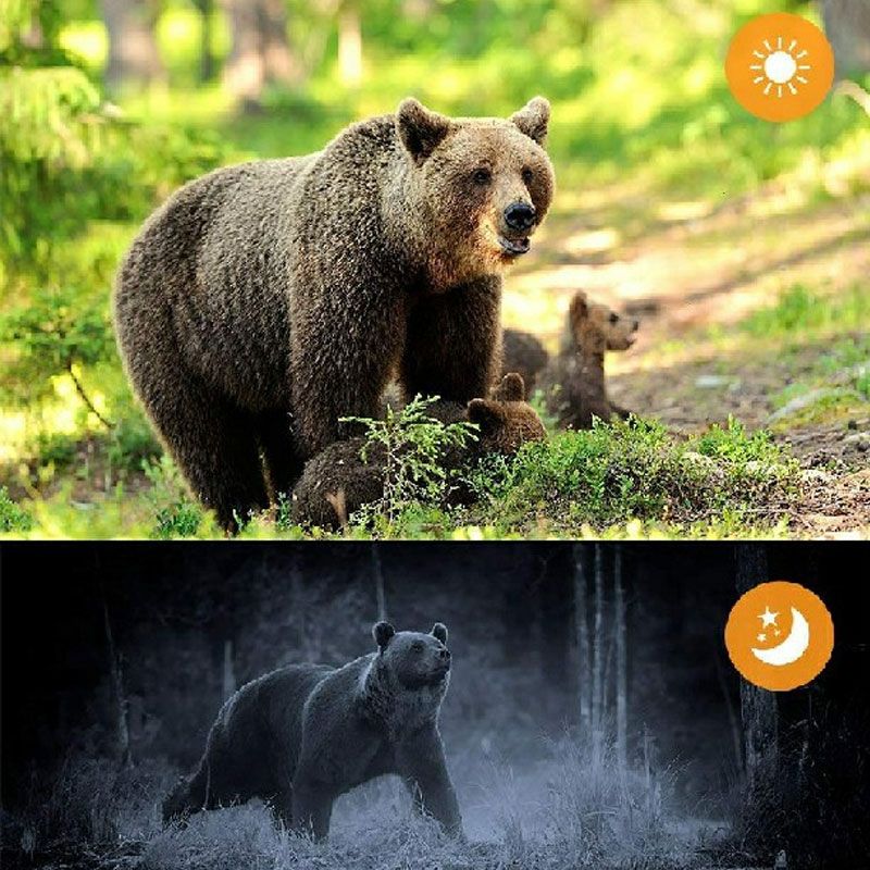 Compact Size 720P HD Digital Camera Camcorder 5MP CMOS Sensor 2.0" LCD Screen 3 Meters Waterproof with Built-in Microphone for Kids Children Students Boys Girls Summmer Gift