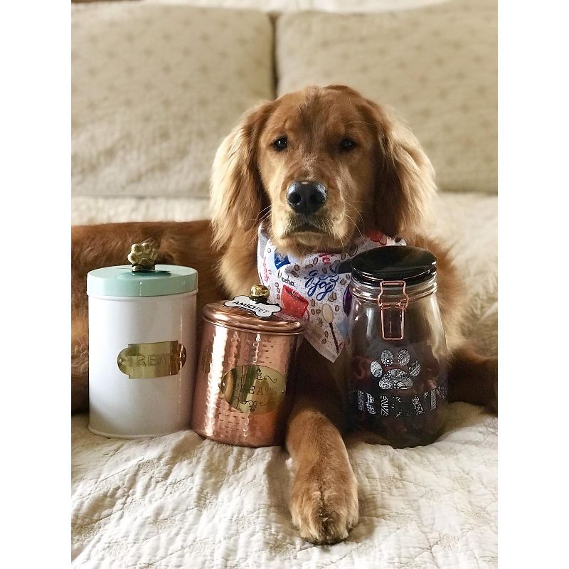 Amici Pet Bentley 54 oz Metal Treats Canister White/Mint, Single Container