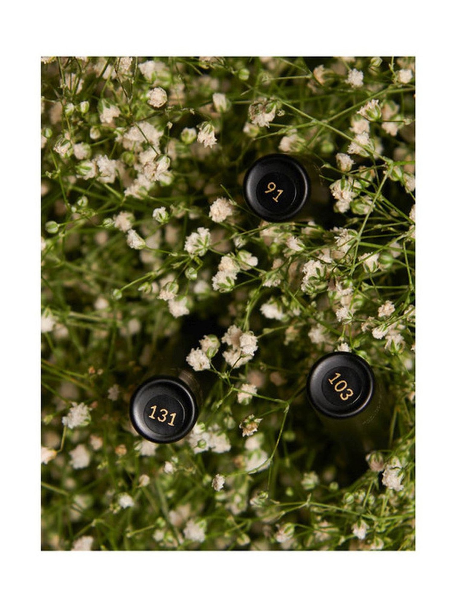 wiSDom by Sheetal Desai 3 in 1 Miniature Perfume For Women