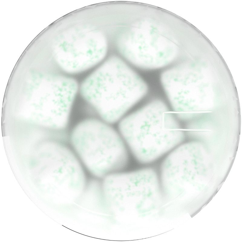 Trident Vibes Spearmint Rush Chewing Gum - 40ct