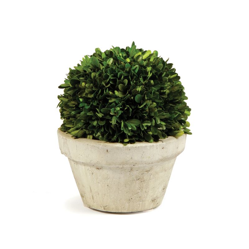 Plum & Post Boxwood Ball In Pot Large