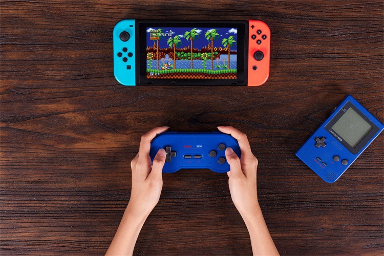 8Bitdo Lite Bluetooth Gamepad for Nintendo Switch Lite, Nintendo Switch & Windows (Turquoise Edition)