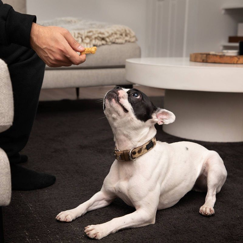 Rocco & Roxie Supply Co. Savory Parmesan with Bacon and Rosemary Dog Treats - 14oz