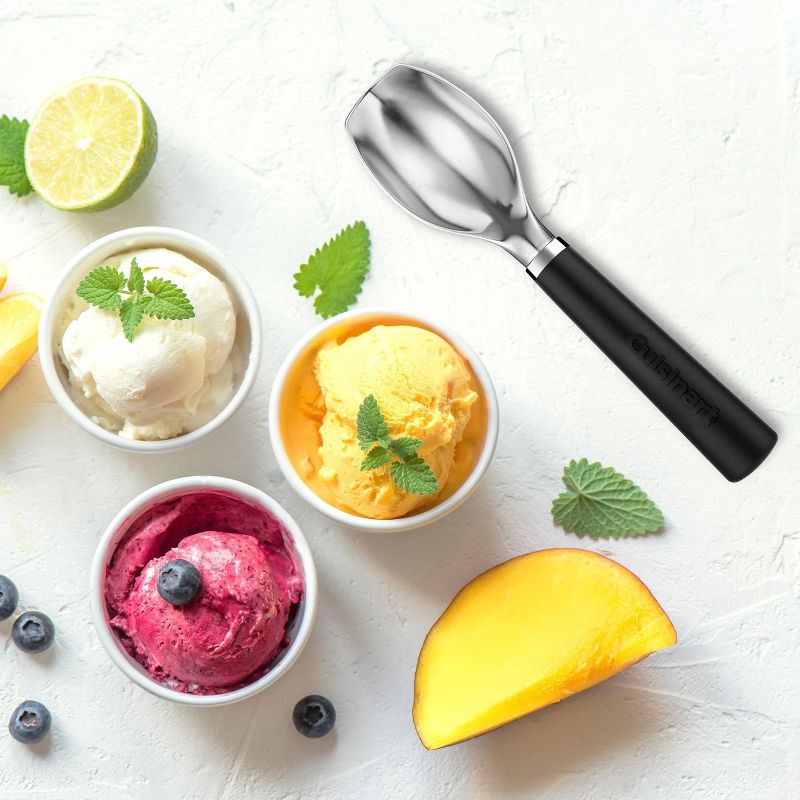 Cuisinart Stainless Steel Ice Cream Spade - CTG-00-ISS