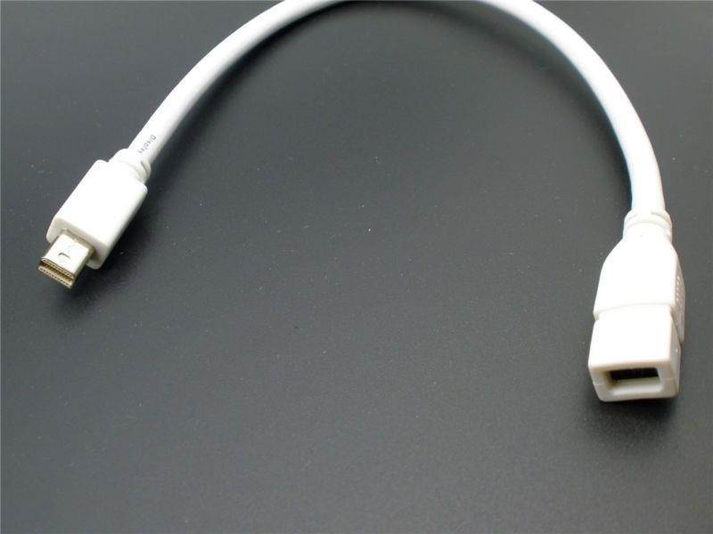 Mini Display Port Mini DP Male to Mini DisplayPort Female Extension Cable 30CM