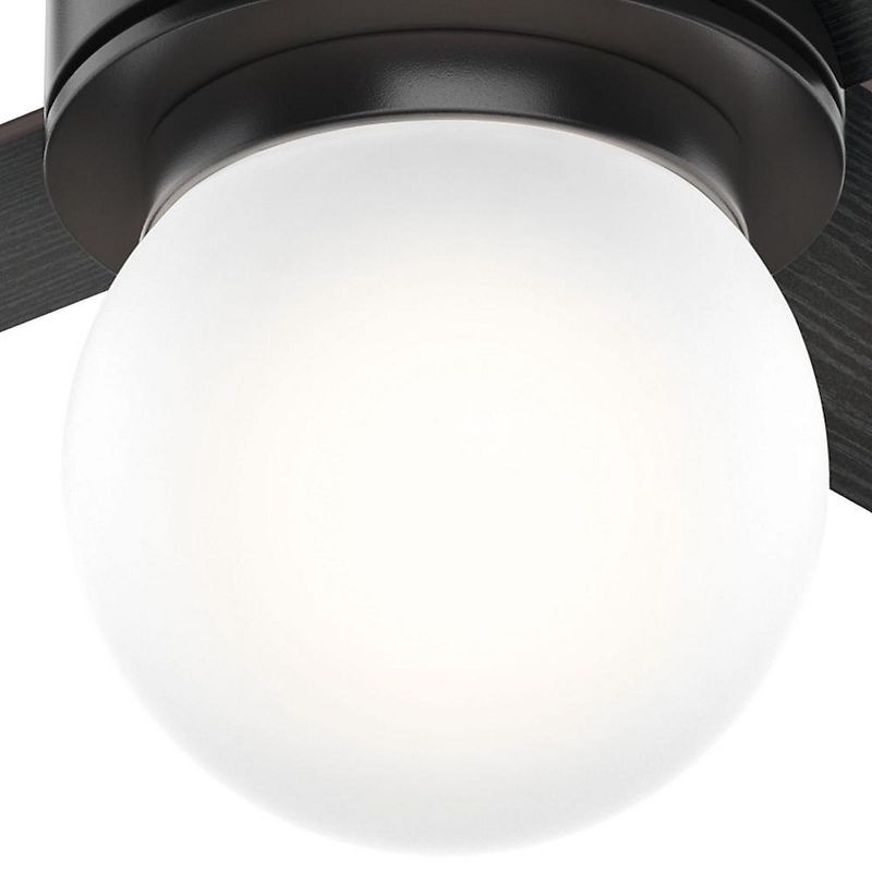 Hunter Fan Company Hepburn w/ LED Light 52-Inch Multiple Speeds Ceiling Fan, Matte Black Finish