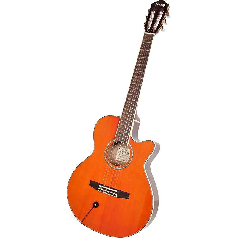 GalaxyTrek GT-INST-1 Wireless Portable Disc Transducer