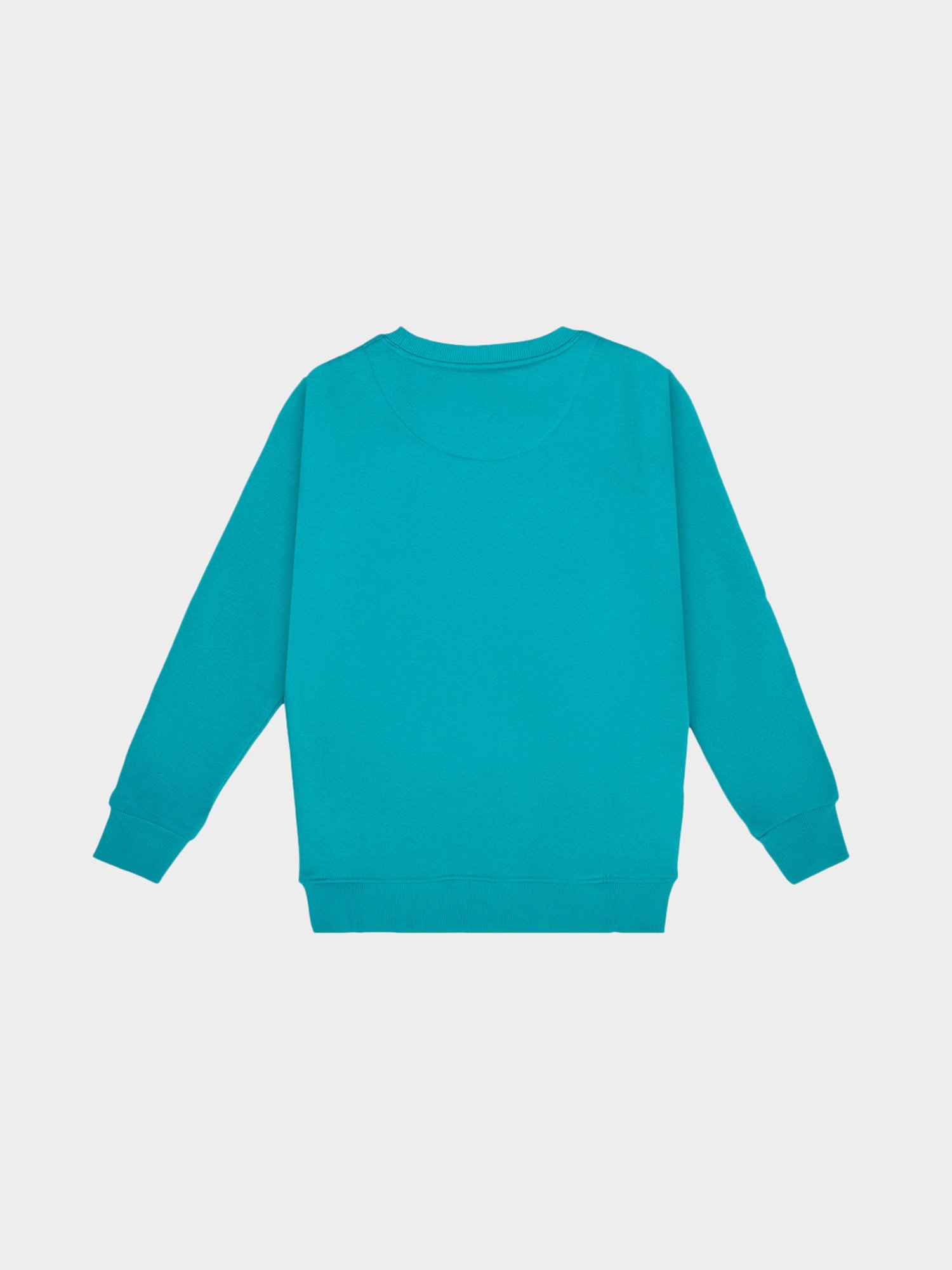 Bodycare Girls Sea Green Graphic Print Full Sleeves Sweatshirt