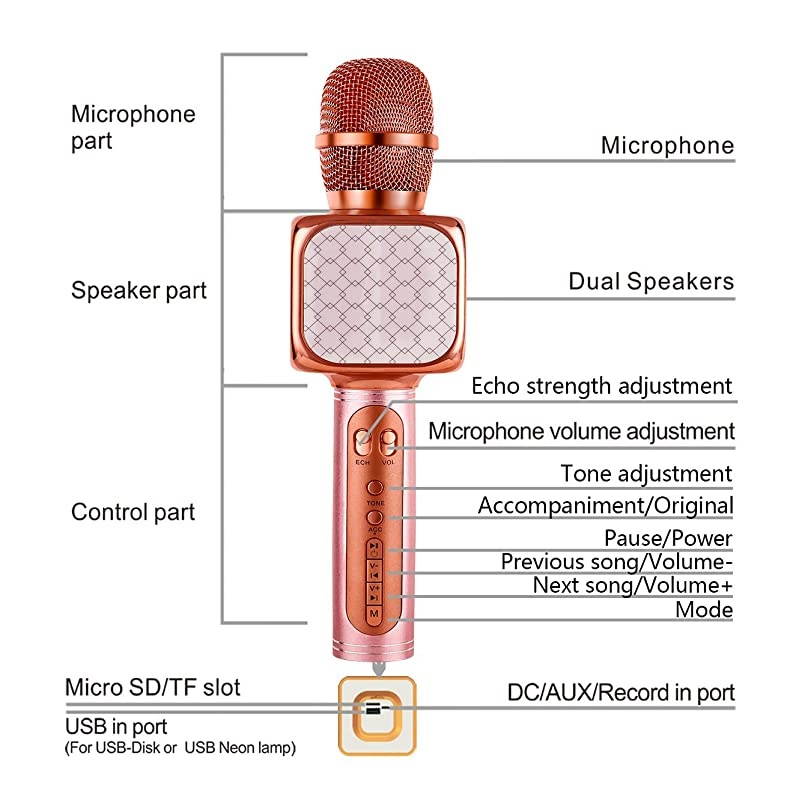 Portable Wireless Karaoke Microphone YS69 Handheld Cellphone Karaoke Player Support USBTF MP3 Player and Bluetooth Karaoke Machine for All Ages 69 Rose